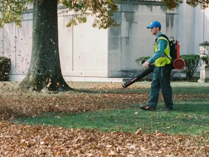 Spring/Fall Cleanup