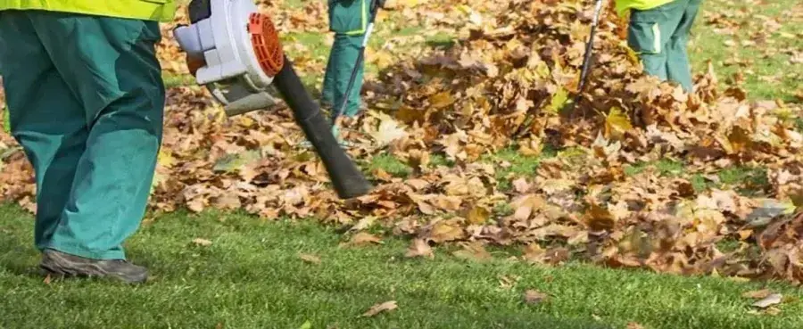 Spring / Fall Cleanup