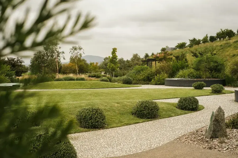 Freshly mowed lawn with clean lines