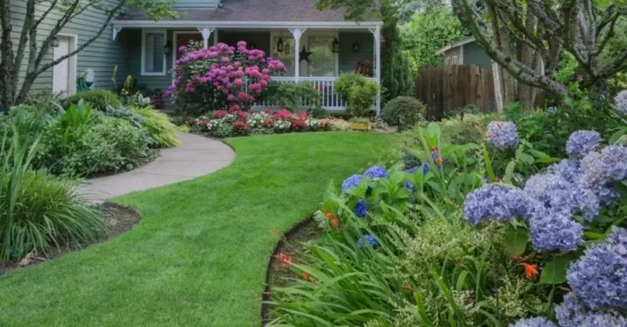 Mulch Installation